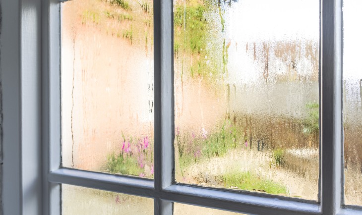 Damp and mould